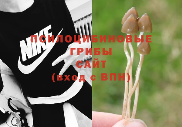 спайс Вязники
