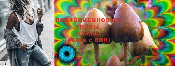 альфа пвп Вяземский