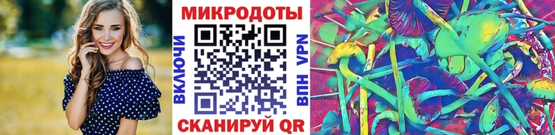 Псилоцибиновые грибы Psilocybe  Купить где  Краснокаменск 